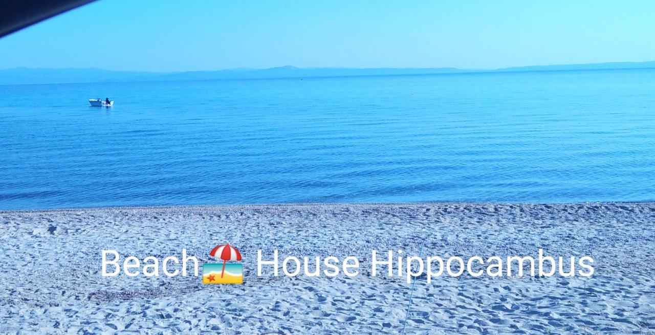 Hippocampus Beach House โปไลโครโน ภายนอก รูปภาพ